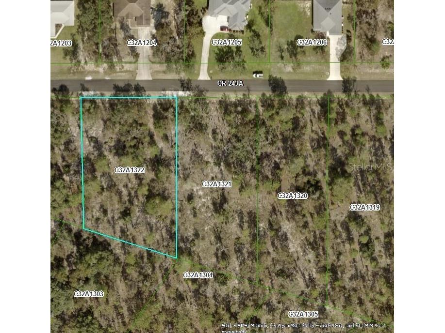 0 Cr 243 A Lot 119 Wildwood FL 34785 G5069750 image1