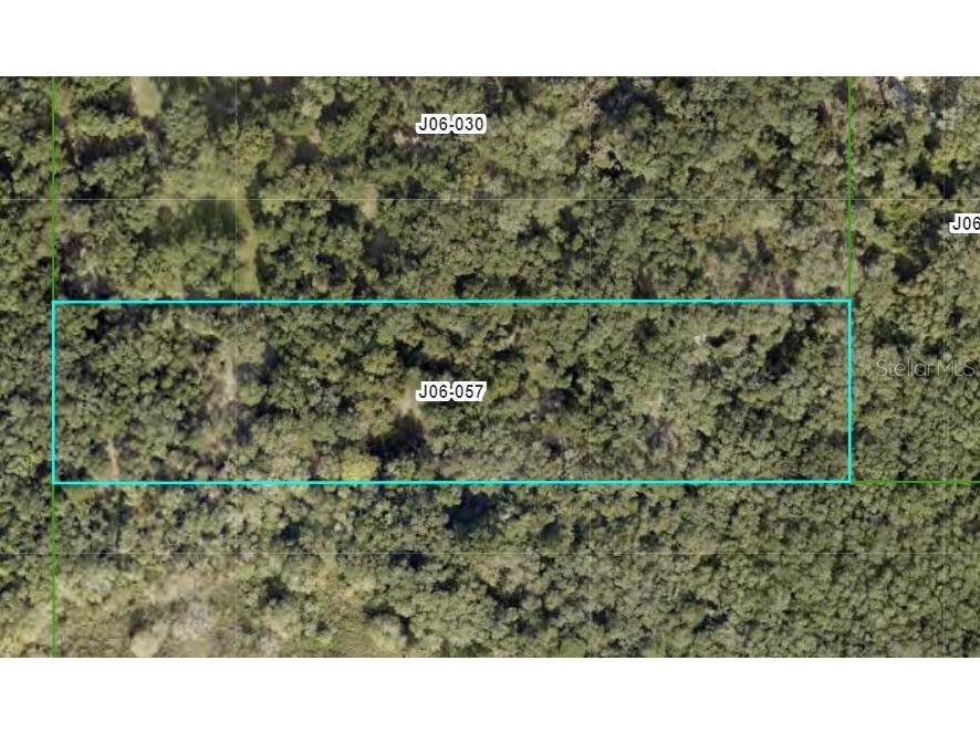 0 Cr 416 N Lake Panasoffkee FL 33538 OM658043 image1