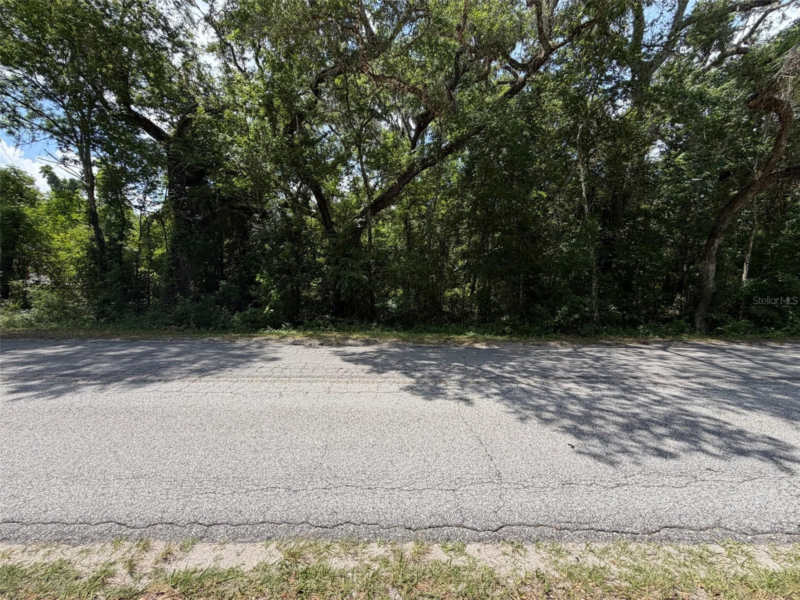 0 Cr 656 Webster FL 33597 O6407465 image2