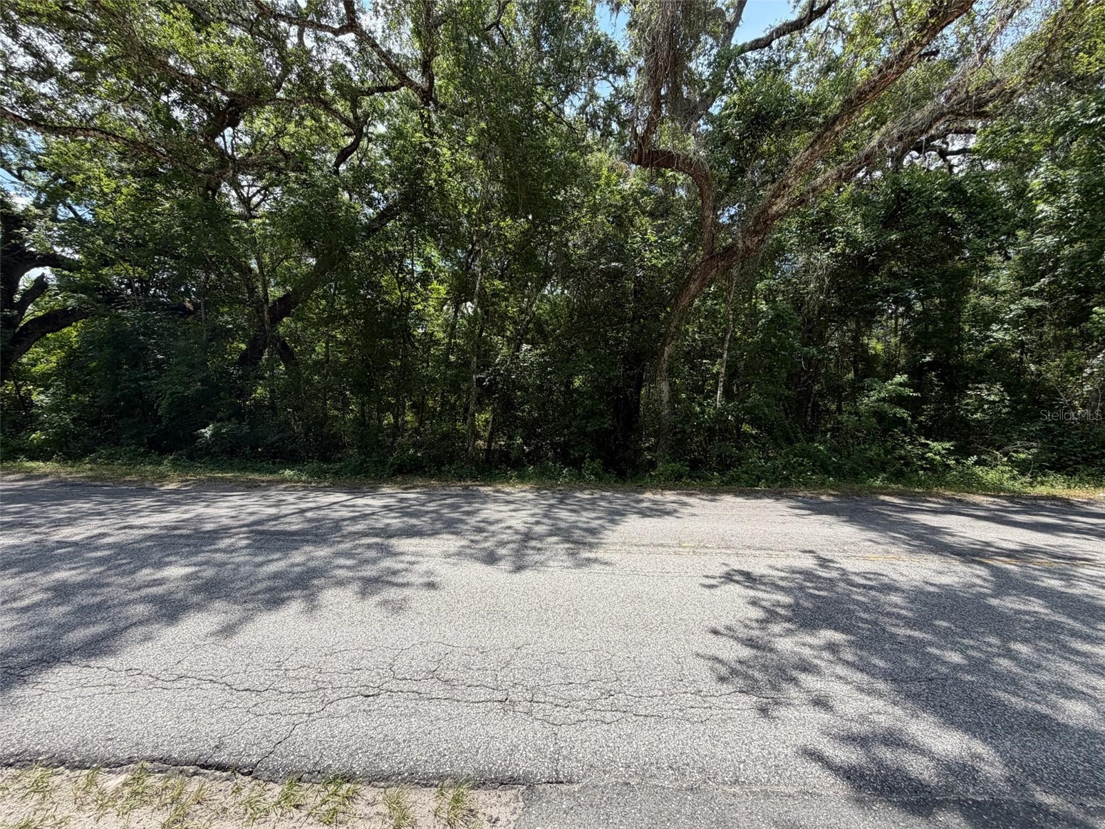 0 Cr 656 Webster FL 33597 O6407465 image3
