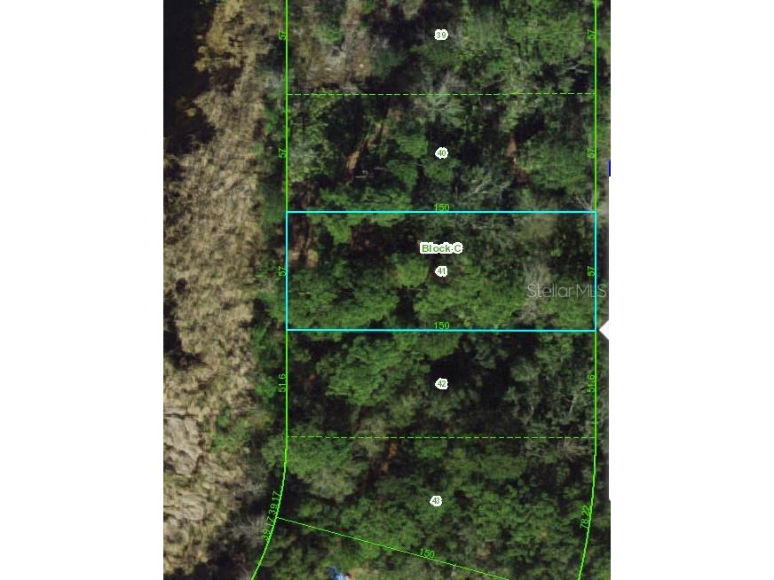 0 Craig Loop Lane Hudson FL 34667 W7863054 image1