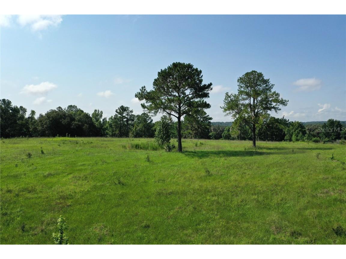 0 Creek Hollow Brooksville FL 34601 W7856394 image1