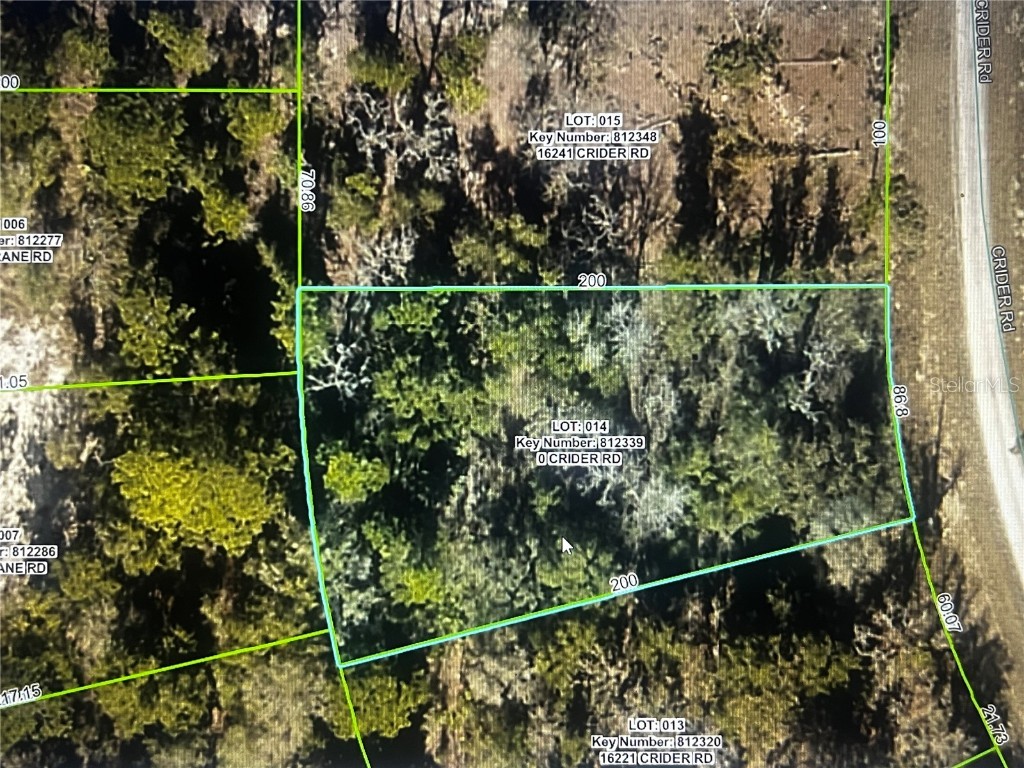 0 Crider Road Weeki Wachee FL 34614 TB8429974 image11