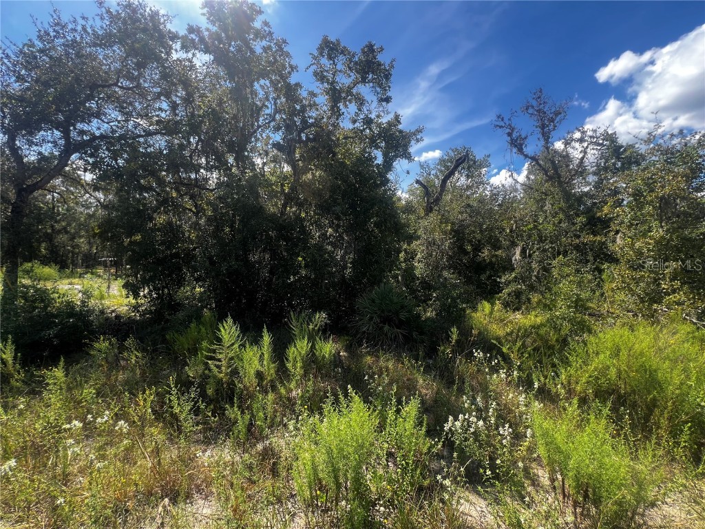 0 Crider Road Weeki Wachee FL 34614 TB8429974 image4