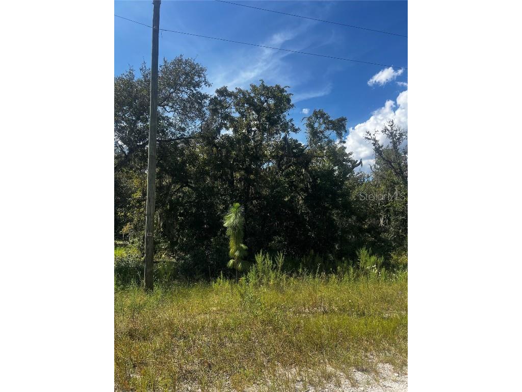 0 Crider Road Weeki Wachee FL 34614 TB8429974 image5