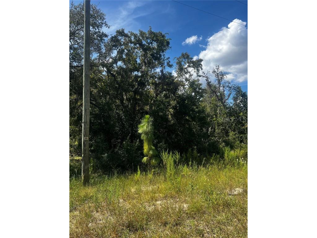 0 Crider Road Weeki Wachee FL 34614 TB8429974 image7