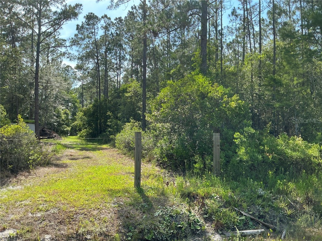 0 Crotty Avenue #1 Hastings FL 32145 OM711526 image4