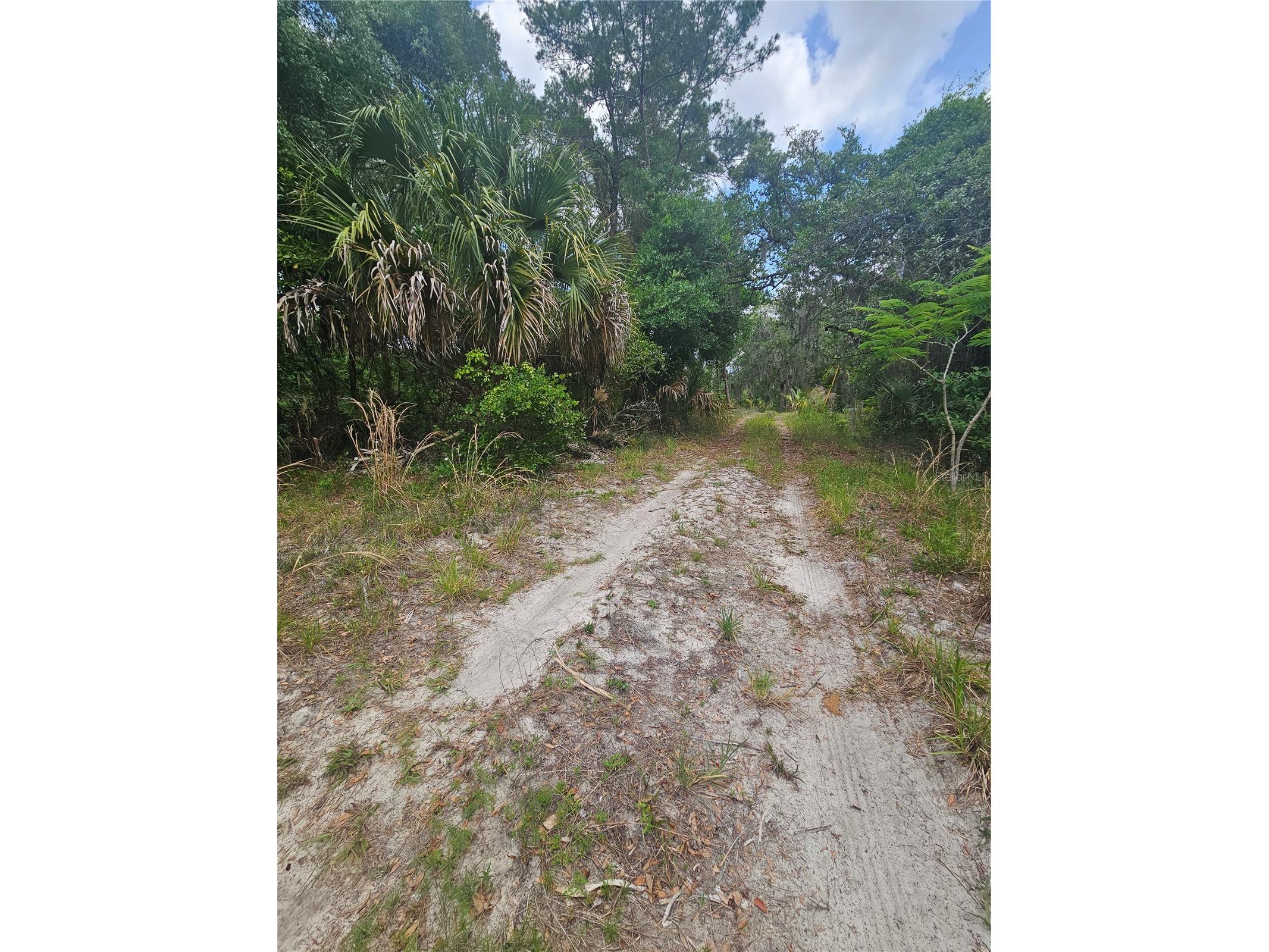 0 Culver Way Geneva FL 32732 O6404342 image3