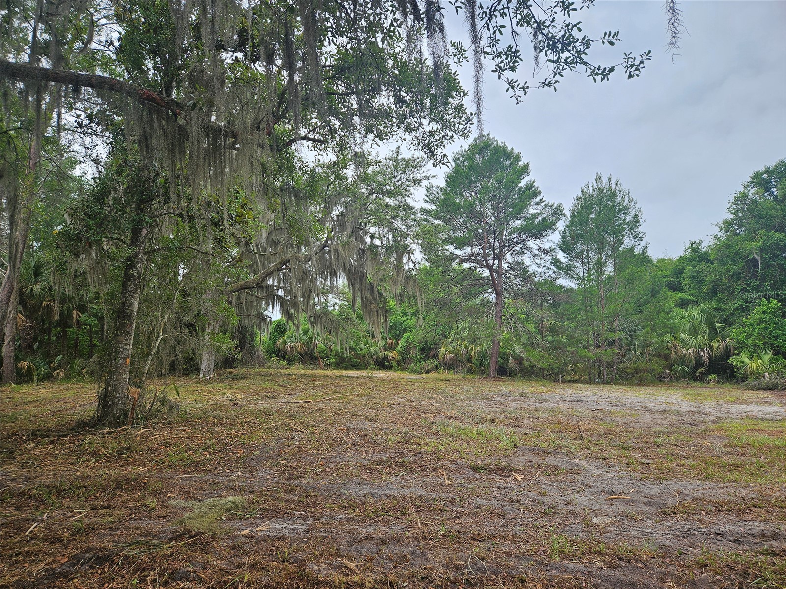 0 Culver Way Geneva FL 32732 O6404342 image5