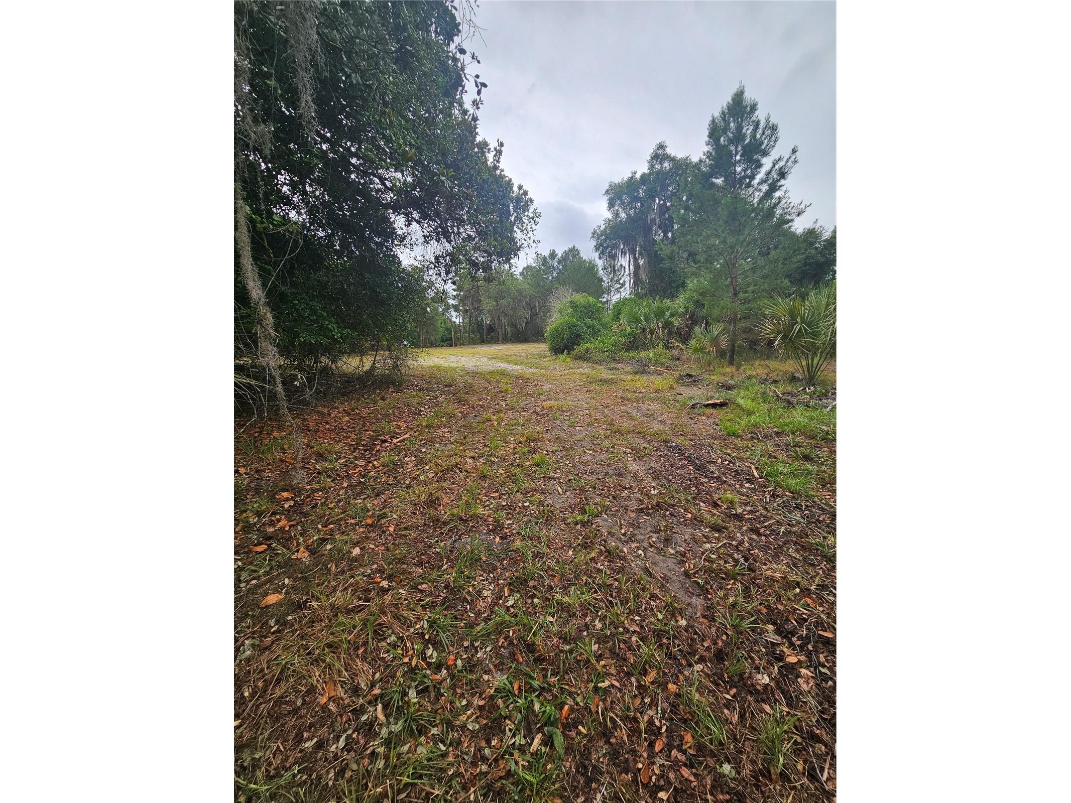 0 Culver Way Geneva FL 32732 O6404342 image9