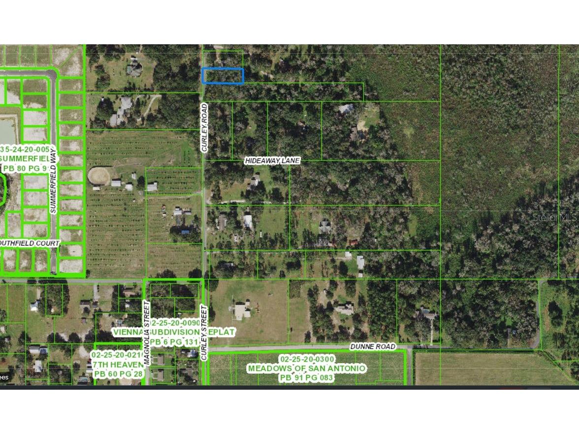 0 Curley Rd Dade City FL 33525 T3468120 image1