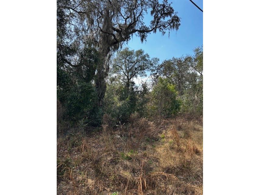 0 Cypress Road Lot 12 Ocala FL 34472 OM695050 image1