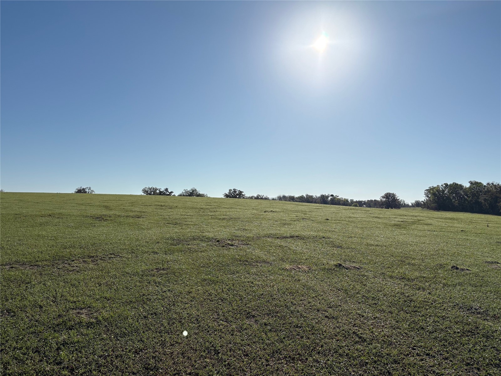 0 Citrus Way (Ne Corner Of Citrus Way And Parsons Rd) Brooksville FL 34601 TB8524078 image1
