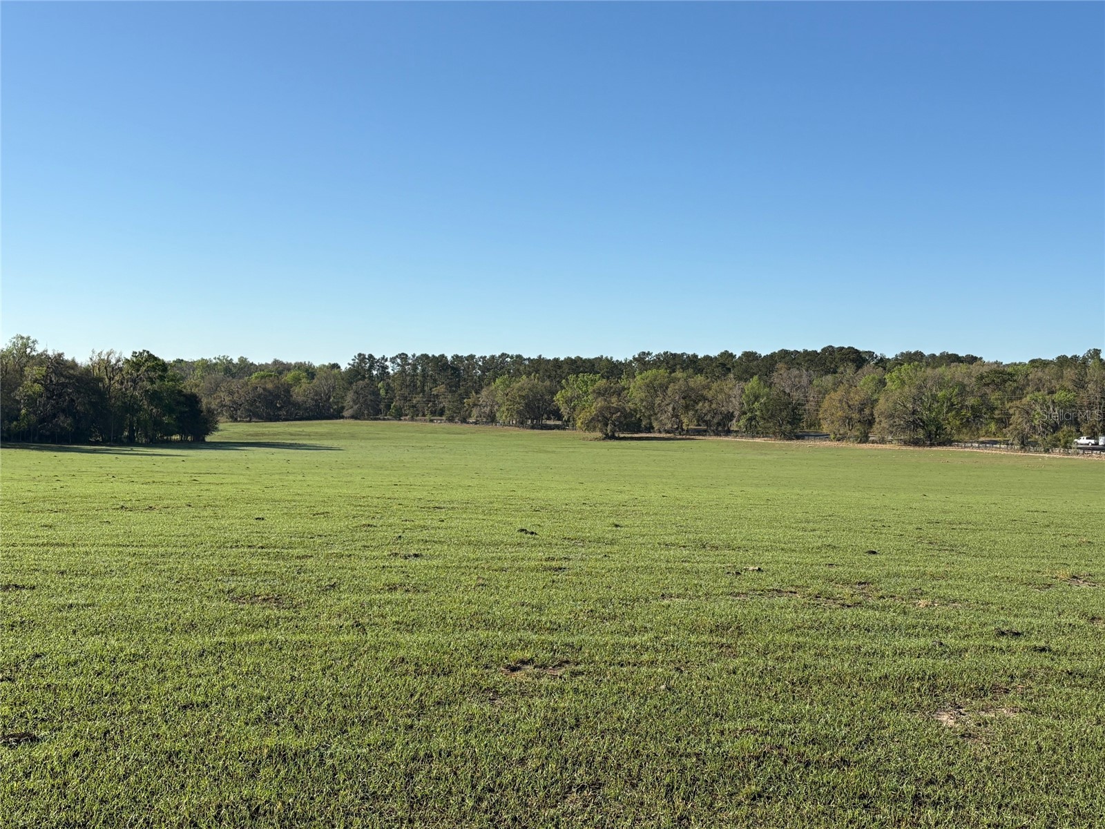 0 Citrus Way (Ne Corner Of Citrus Way And Parsons Rd) Brooksville FL 34601 TB8524078 image10