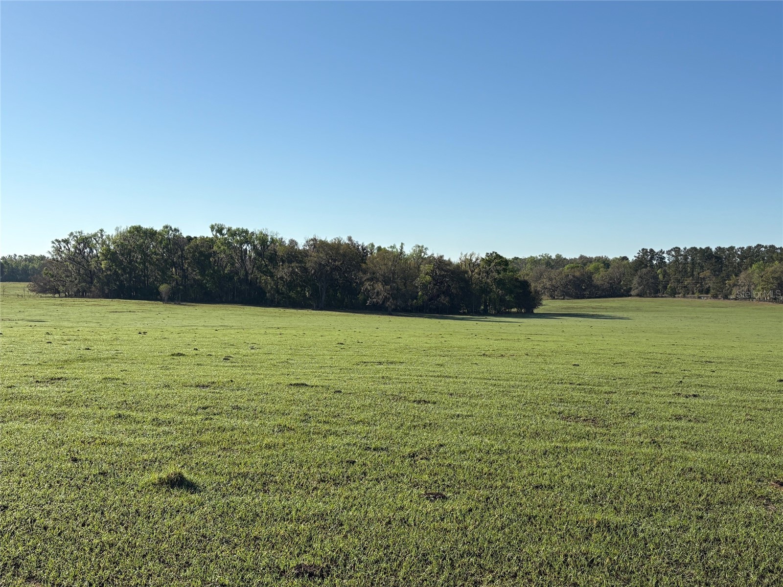 0 Citrus Way (Ne Corner Of Citrus Way And Parsons Rd) Brooksville FL 34601 TB8524078 image11