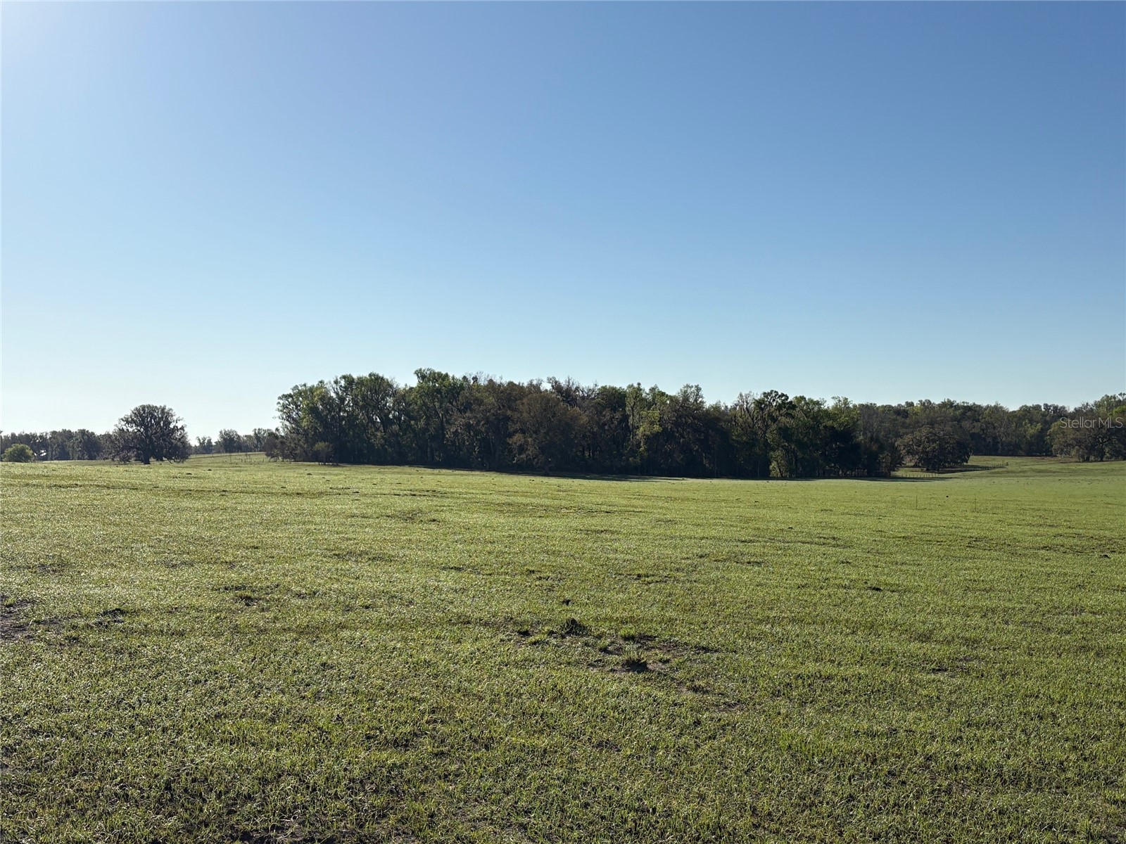 0 Citrus Way (Ne Corner Of Citrus Way And Parsons Rd) Brooksville FL 34601 TB8524078 image12