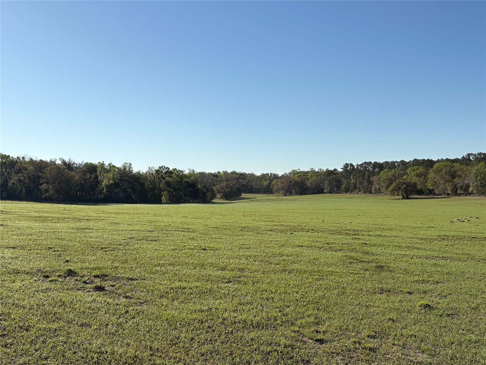 0 Citrus Way (Ne Corner Of Citrus Way And Parsons Rd) Brooksville FL 34601 TB8524078 image13