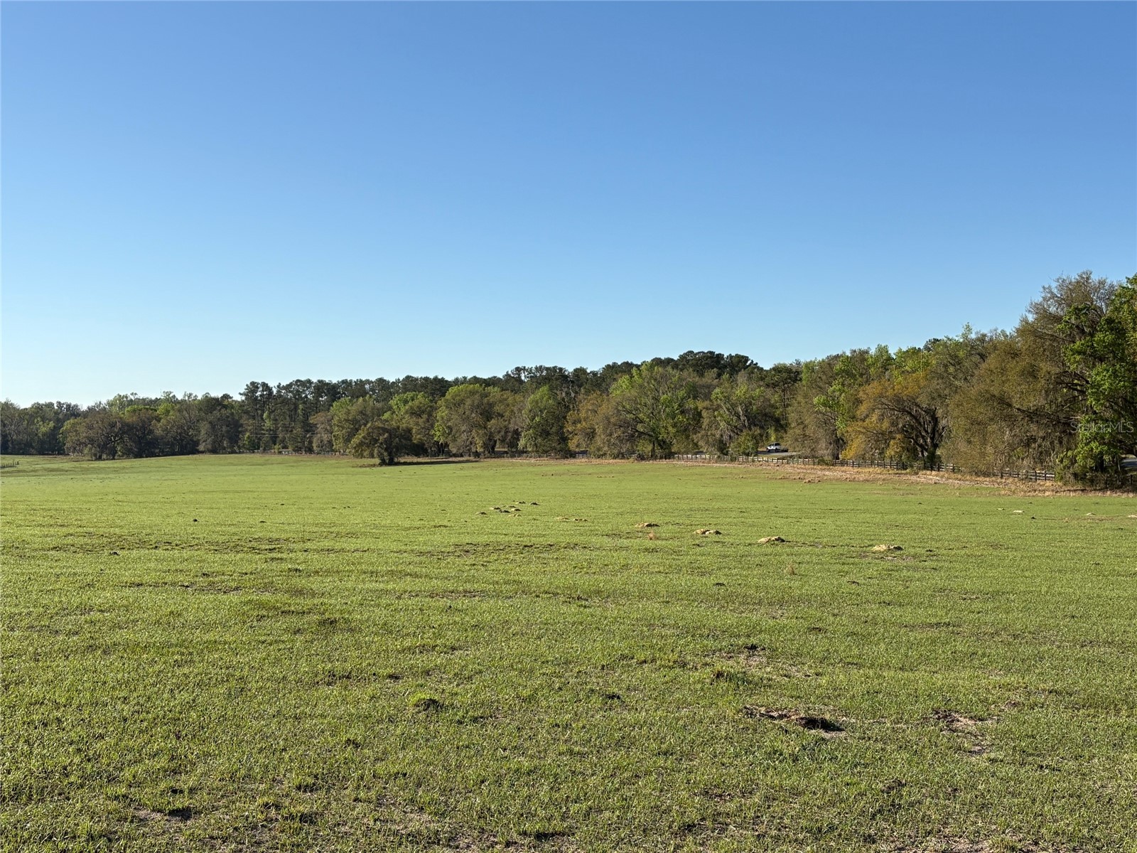 0 Citrus Way (Ne Corner Of Citrus Way And Parsons Rd) Brooksville FL 34601 TB8524078 image14