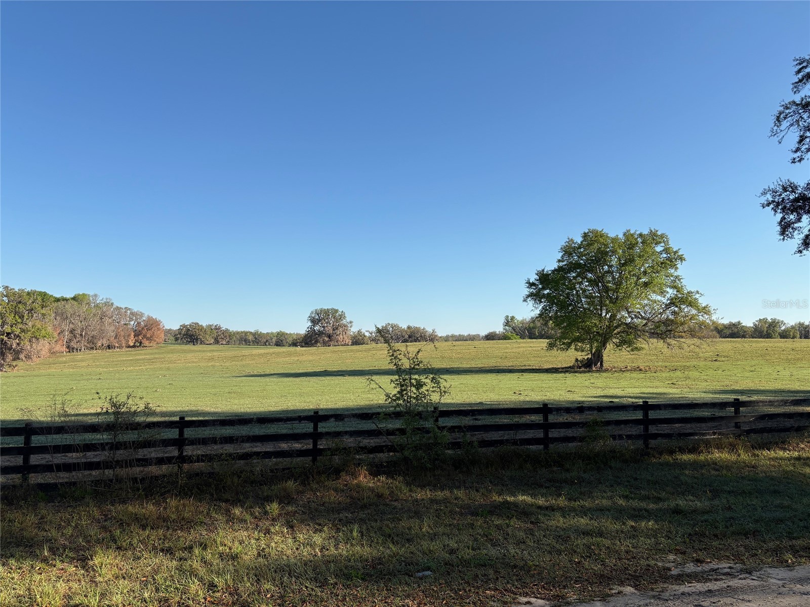 0 Citrus Way (Ne Corner Of Citrus Way And Parsons Rd) Brooksville FL 34601 TB8524078 image15