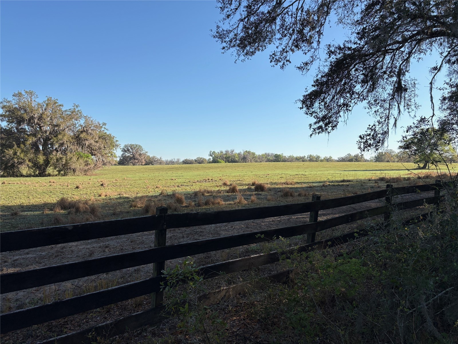 0 Citrus Way (Ne Corner Of Citrus Way And Parsons Rd) Brooksville FL 34601 TB8524078 image16