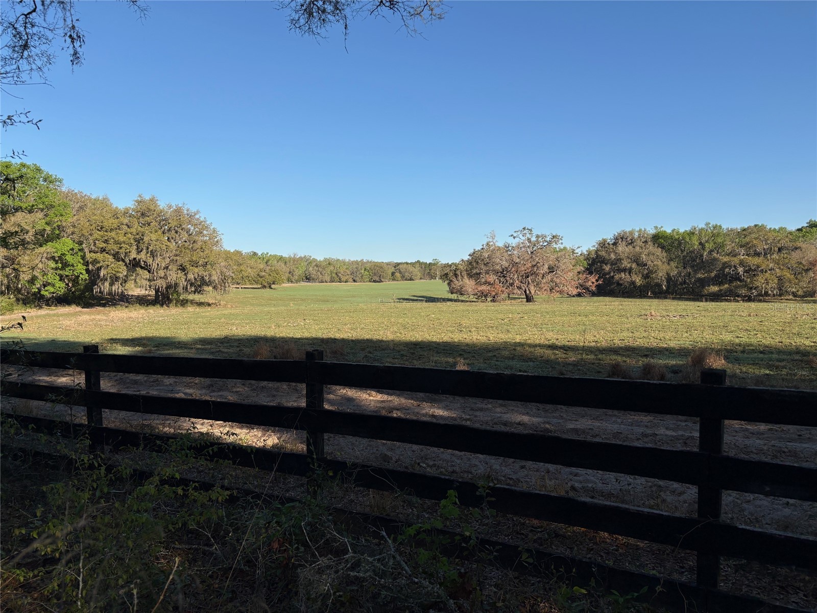 0 Citrus Way (Ne Corner Of Citrus Way And Parsons Rd) Brooksville FL 34601 TB8524078 image17