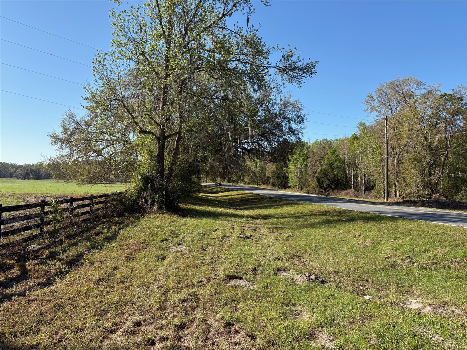 0 Citrus Way (Ne Corner Of Citrus Way And Parsons Rd) Brooksville FL 34601 TB8524078 image18