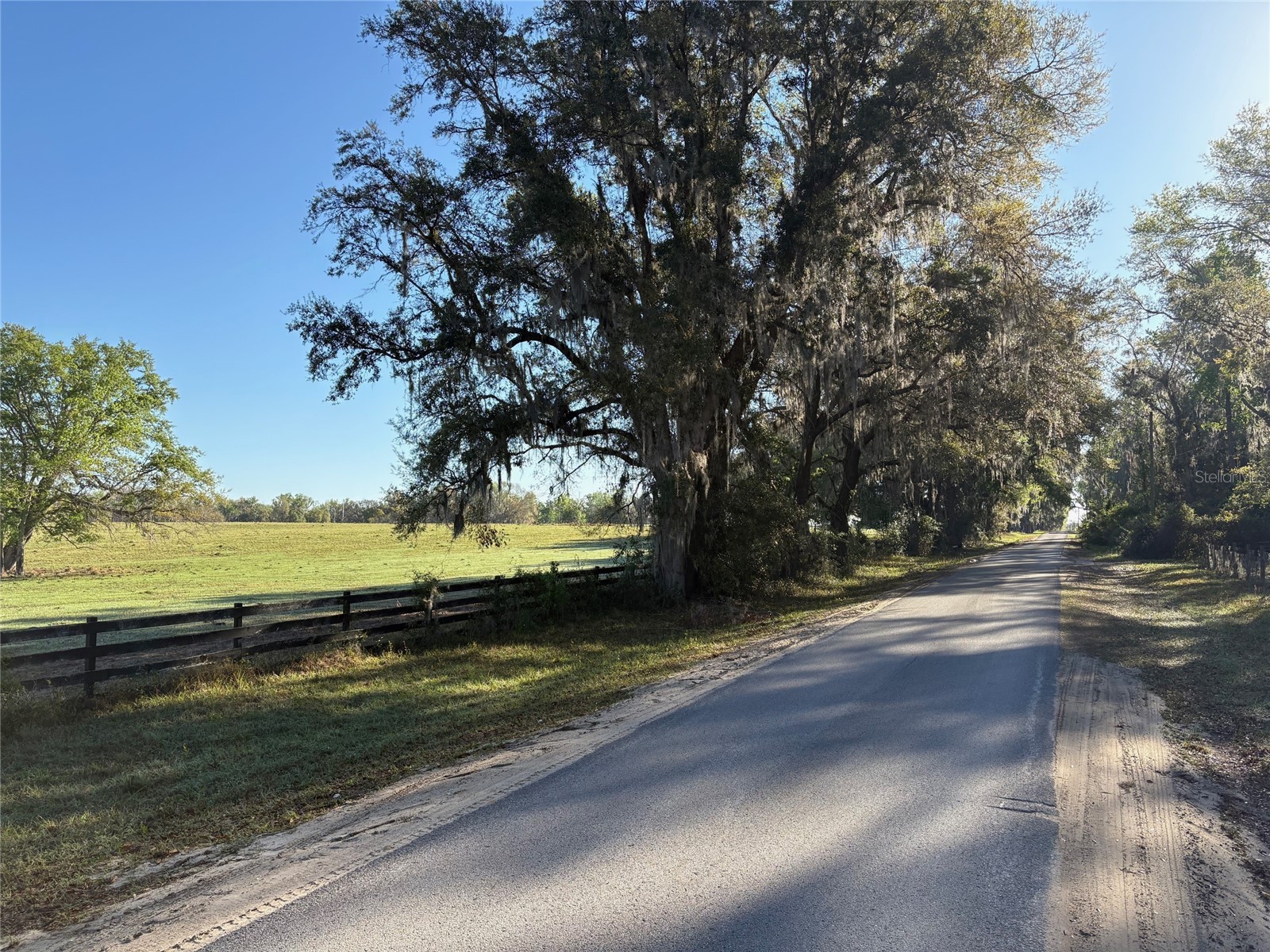 0 Citrus Way (Ne Corner Of Citrus Way And Parsons Rd) Brooksville FL 34601 TB8524078 image19