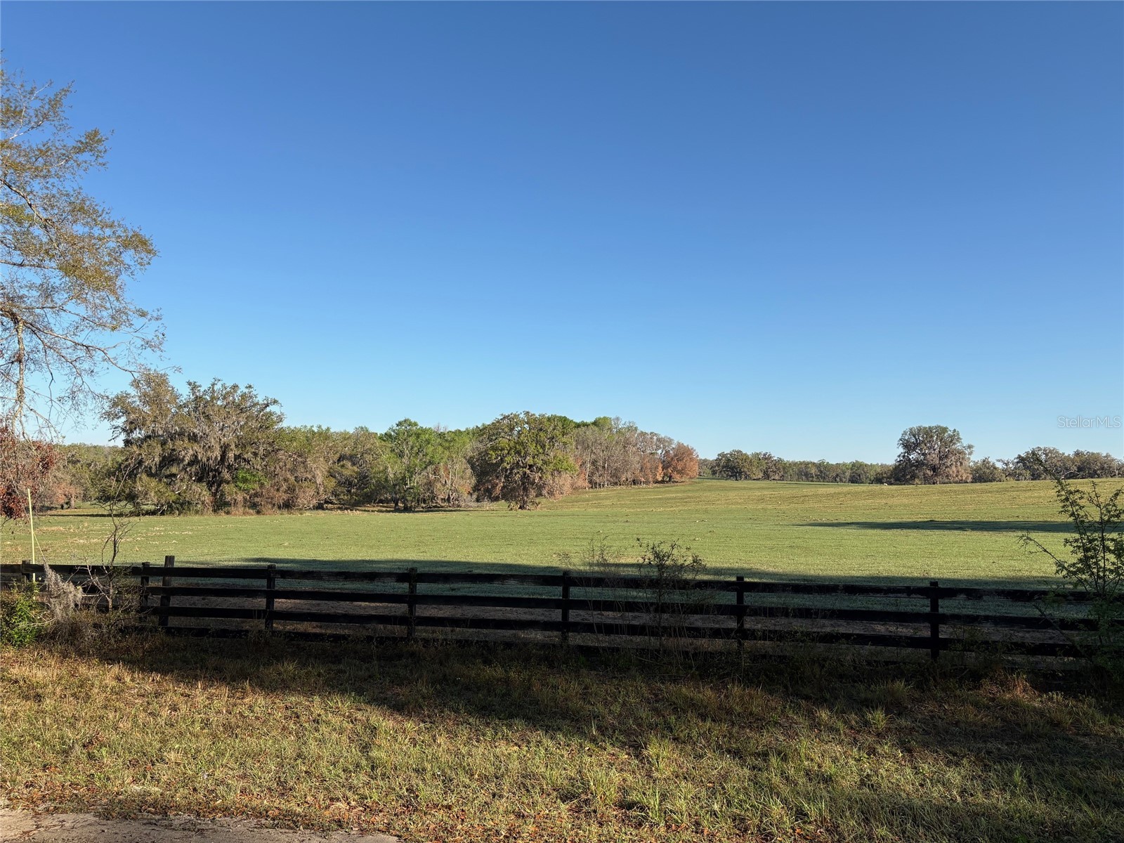0 Citrus Way (Ne Corner Of Citrus Way And Parsons Rd) Brooksville FL 34601 TB8524078 image21