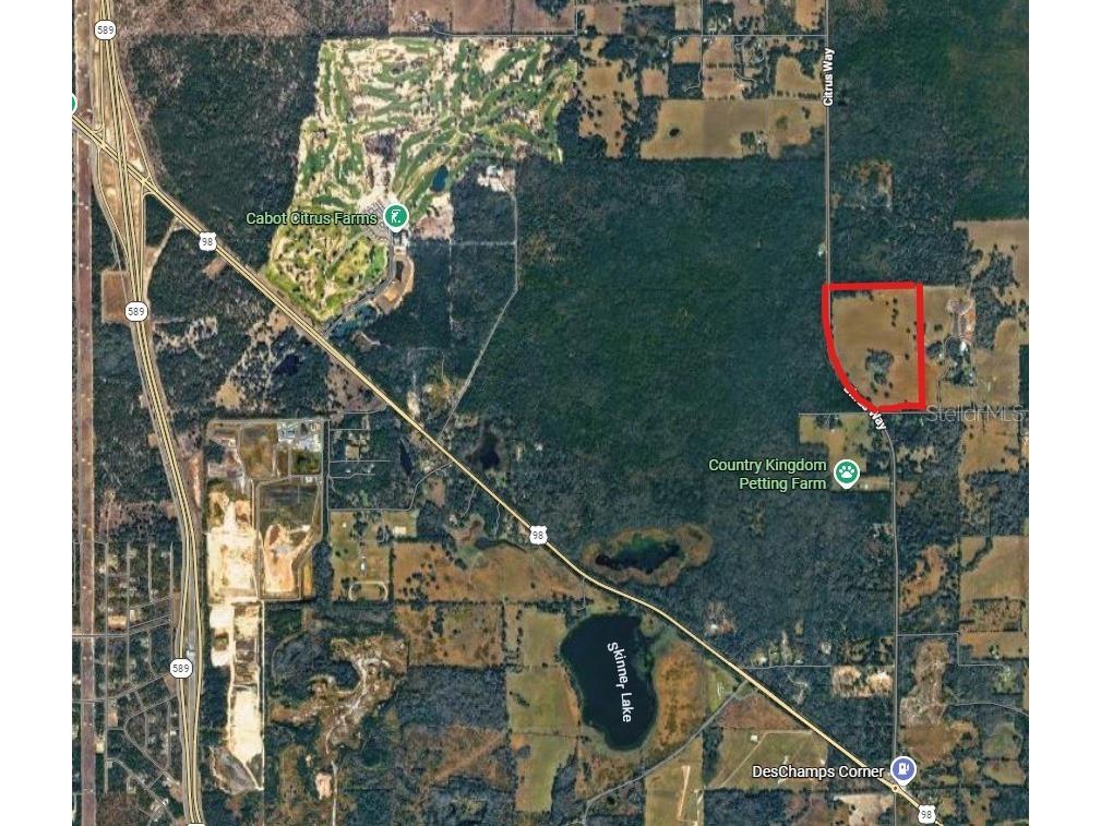 0 Citrus Way (Ne Corner Of Citrus Way And Parsons Rd) Brooksville FL 34601 TB8524078 image23
