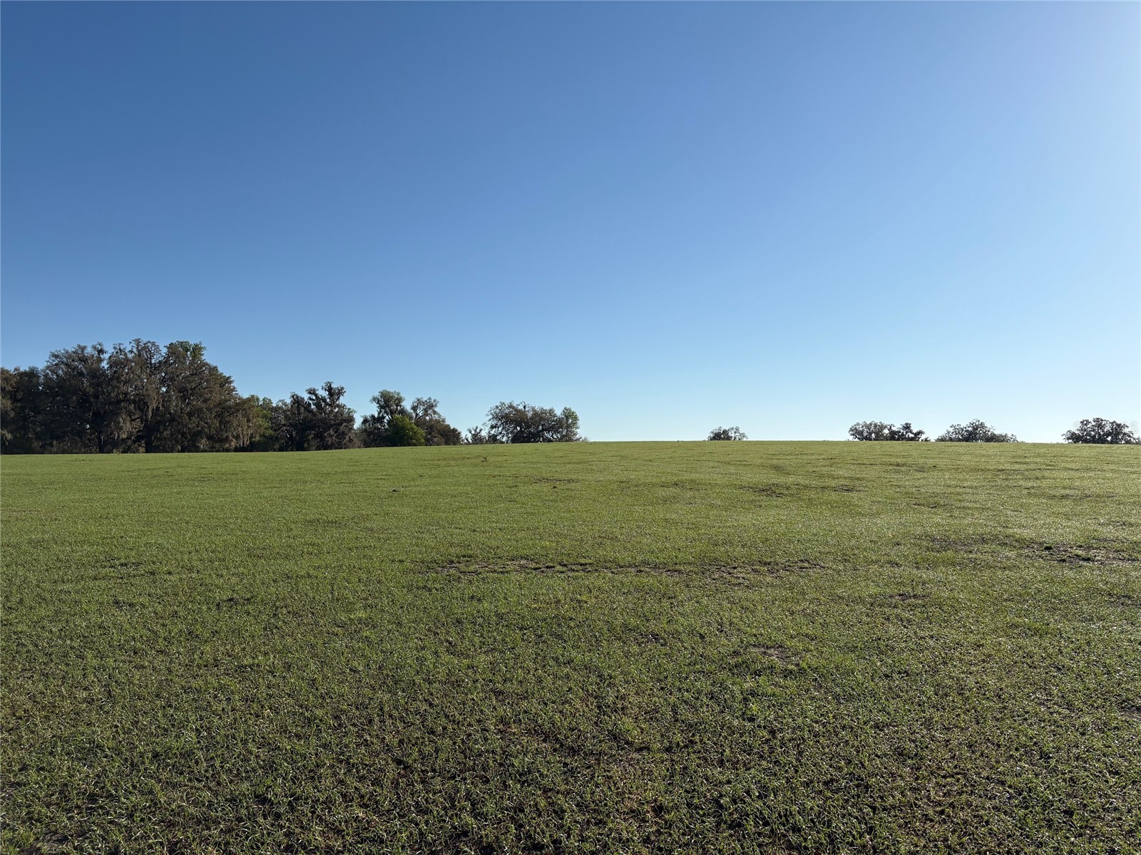 0 Citrus Way (Ne Corner Of Citrus Way And Parsons Rd) Brooksville FL 34601 TB8524078 image4