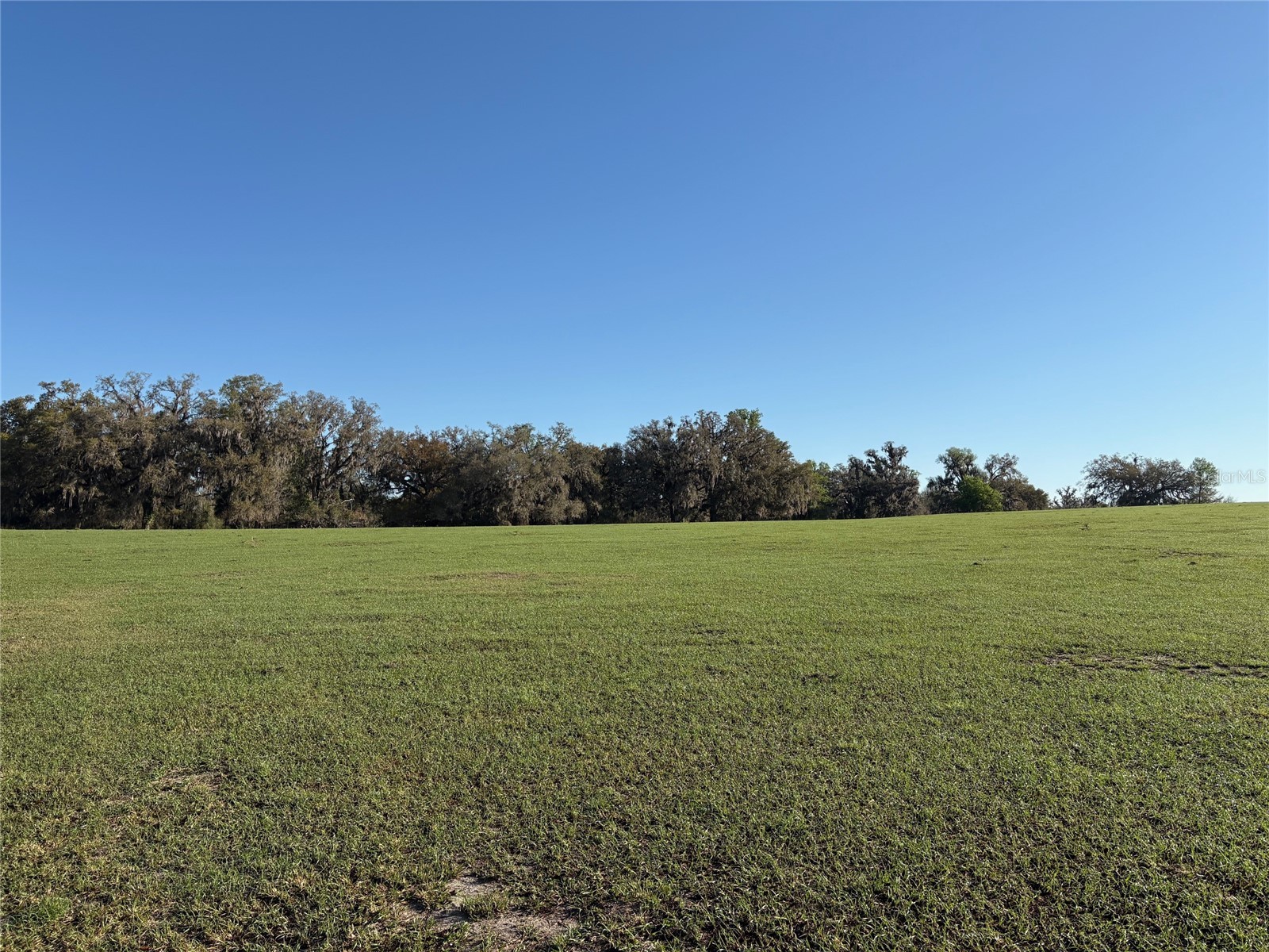 0 Citrus Way (Ne Corner Of Citrus Way And Parsons Rd) Brooksville FL 34601 TB8524078 image5