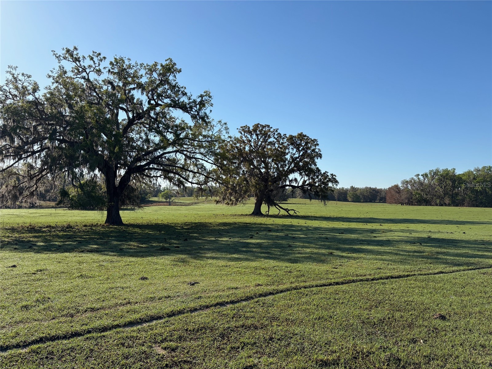 0 Citrus Way (Ne Corner Of Citrus Way And Parsons Rd) Brooksville FL 34601 TB8524078 image6