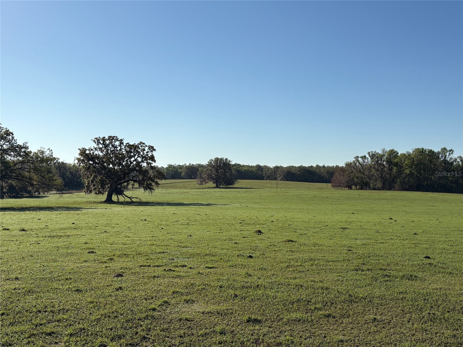 0 Citrus Way (Ne Corner Of Citrus Way And Parsons Rd) Brooksville FL 34601 TB8524078 image8