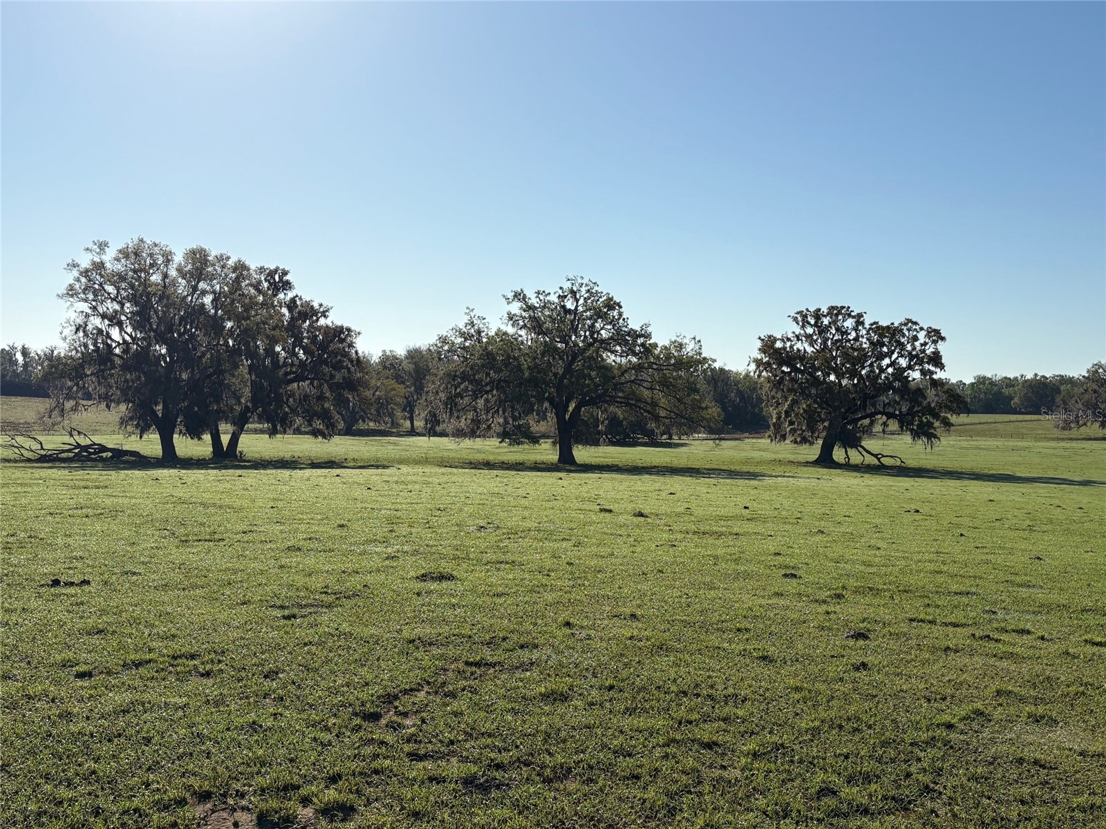 0 Citrus Way (Ne Corner Of Citrus Way And Parsons Rd) Brooksville FL 34601 TB8524078 image9