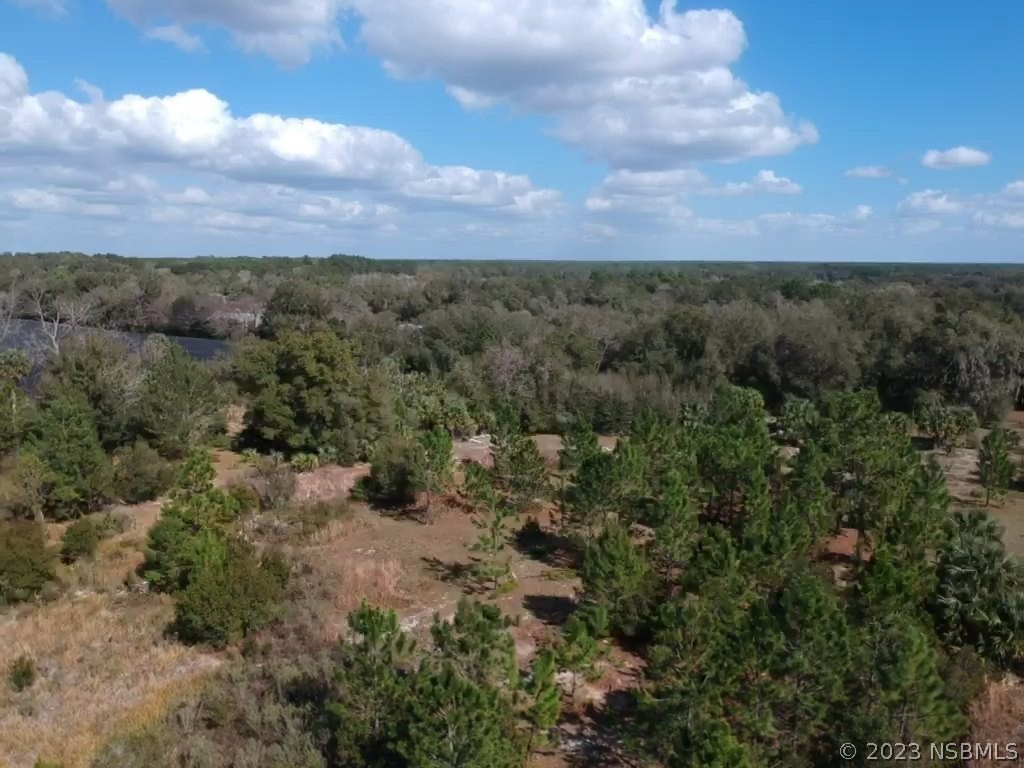 0 Crooked Mile Road Paisley FL 32767 NS1072146 image1