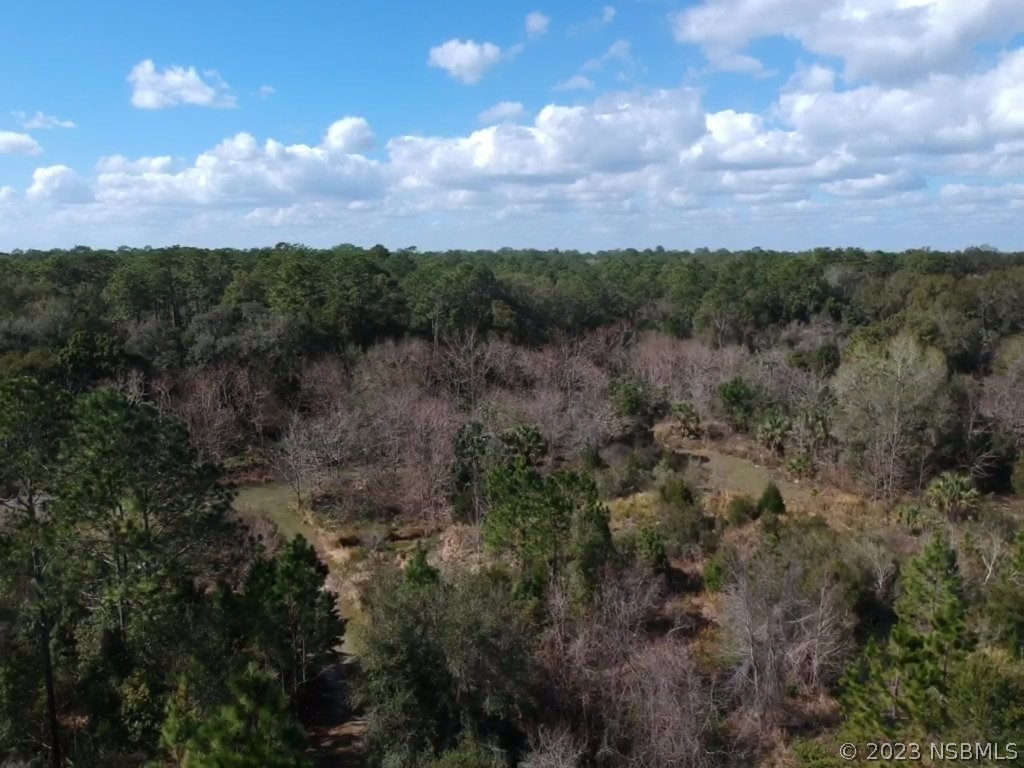 0 Crooked Mile Road Paisley FL 32767 NS1072146 image2
