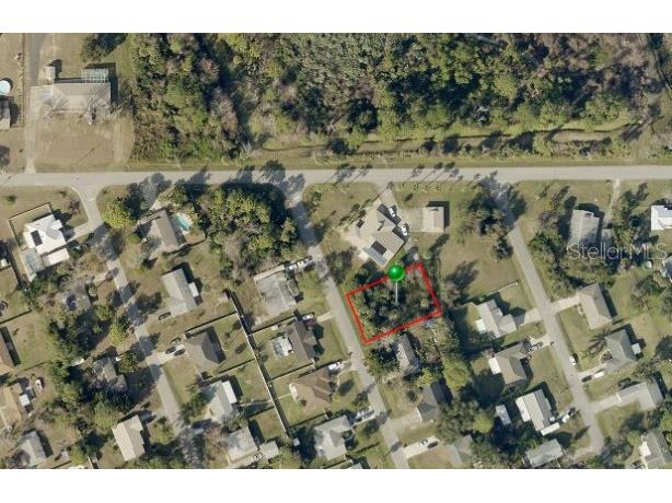 0 Date Palm Drive Edgewater FL 32141 NS1080583 image1