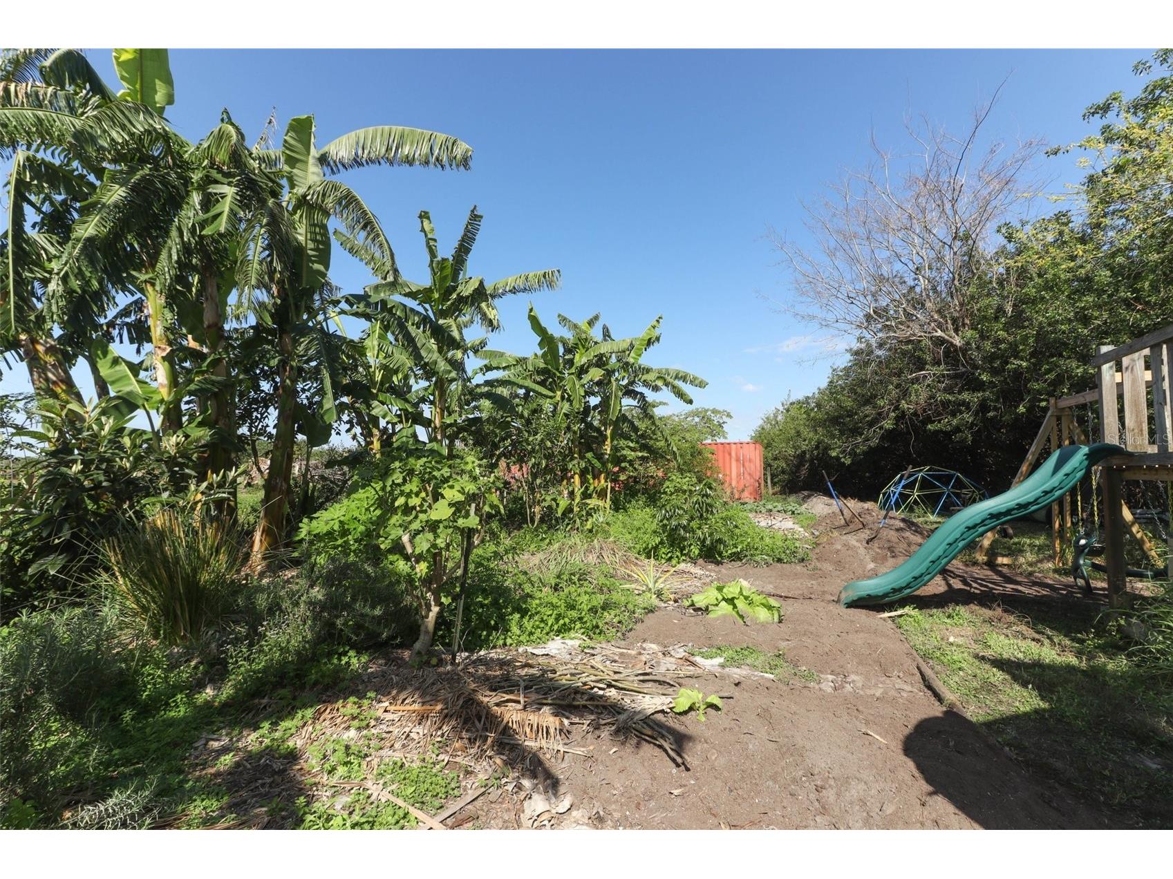 0 Davis Road Mims FL 32754 O6280550 image23