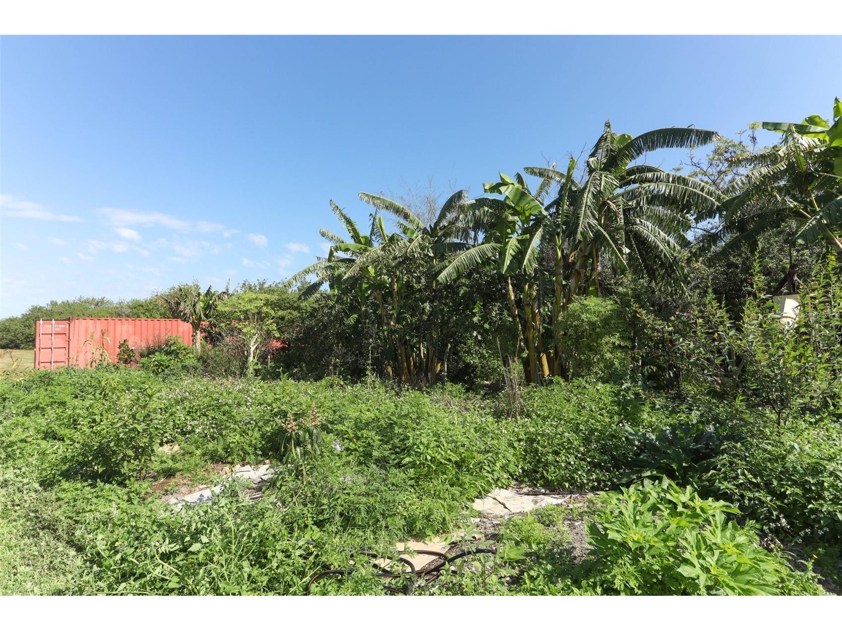 0 Davis Road Mims FL 32754 O6280550 image25