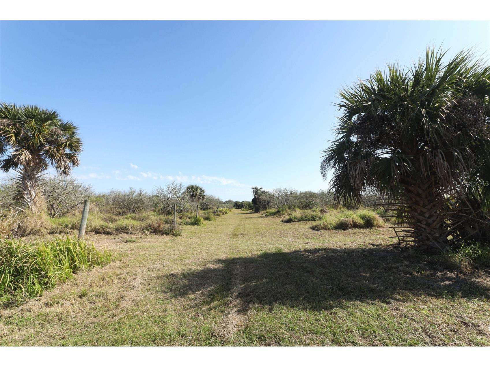 0 Davis Road Mims FL 32754 O6280550 image30