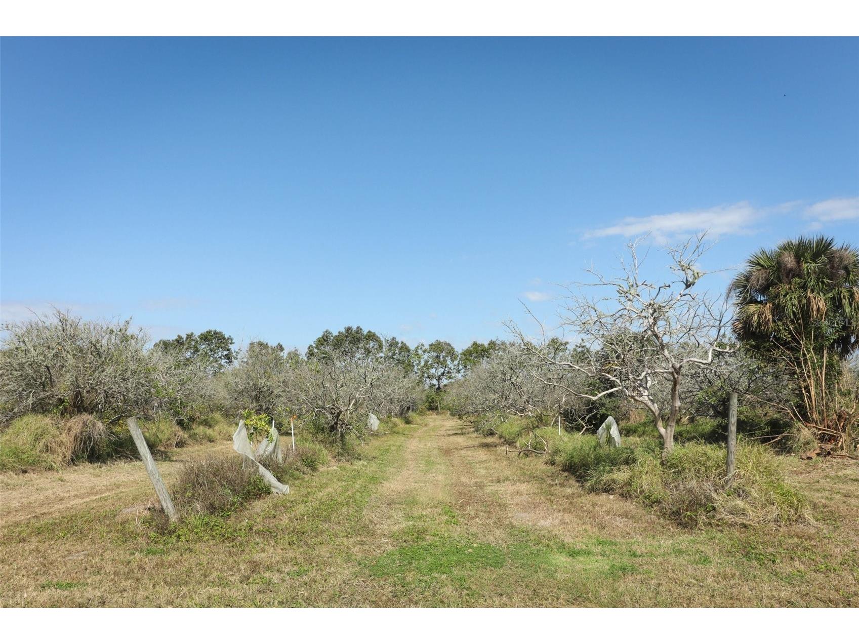 0 Davis Road Mims FL 32754 O6280550 image31