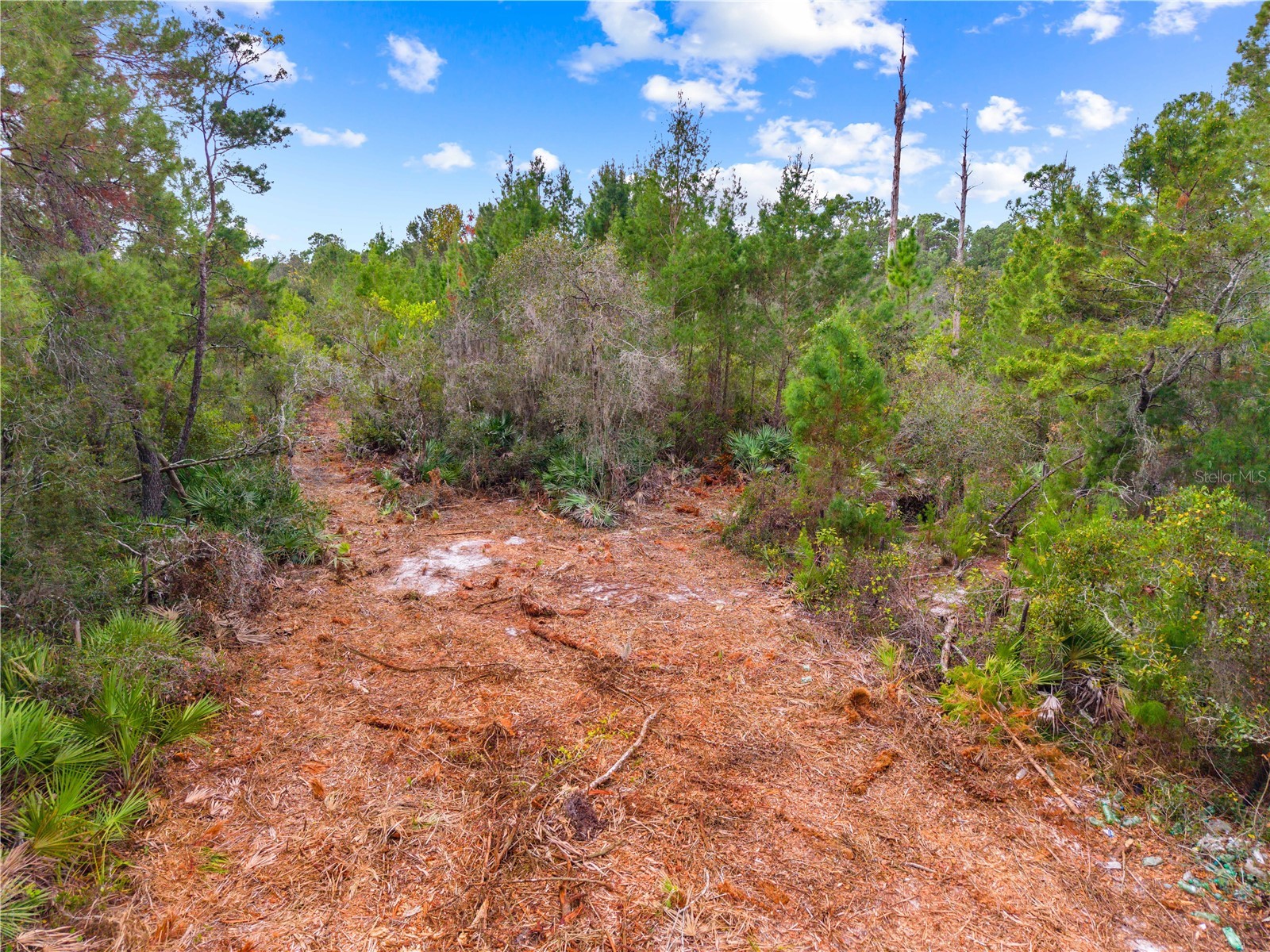 0 Dease Road Saint Cloud FL 34771 S5140594 image10
