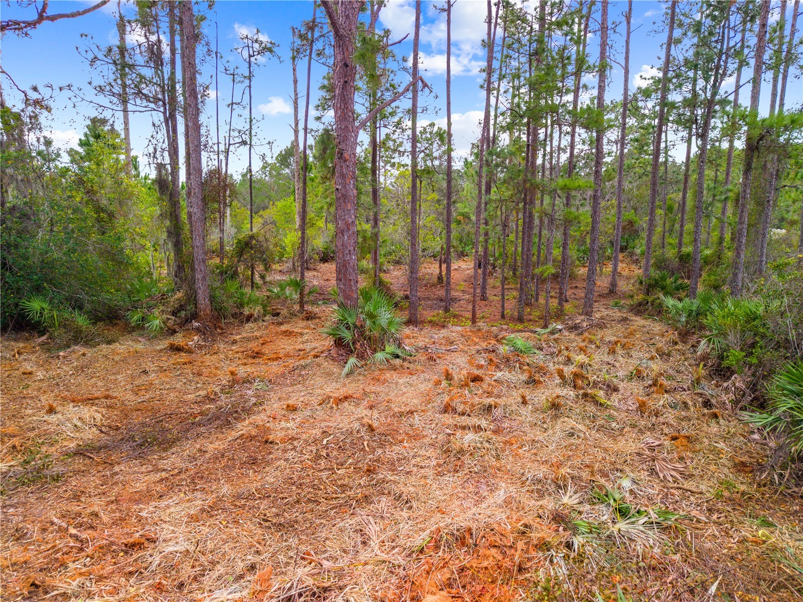 0 Dease Road Saint Cloud FL 34771 S5140594 image12