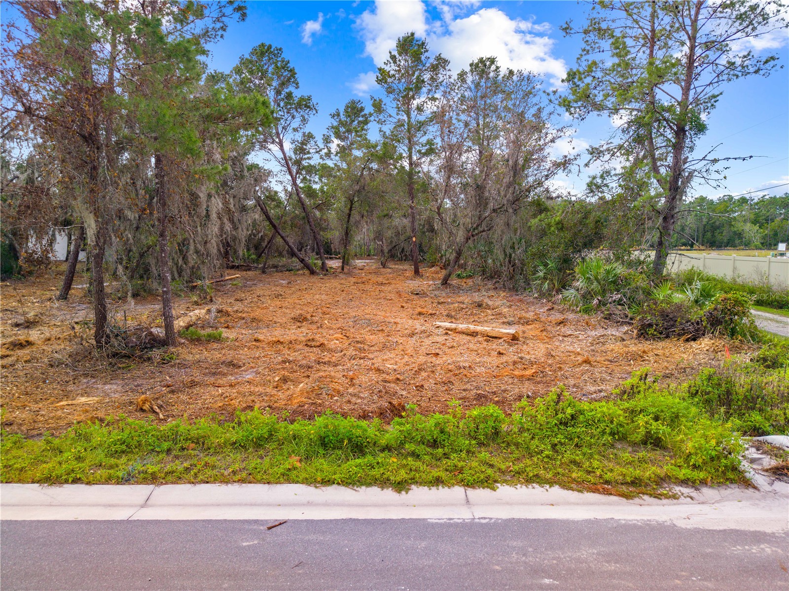 0 Dease Road Saint Cloud FL 34771 S5140594 image2