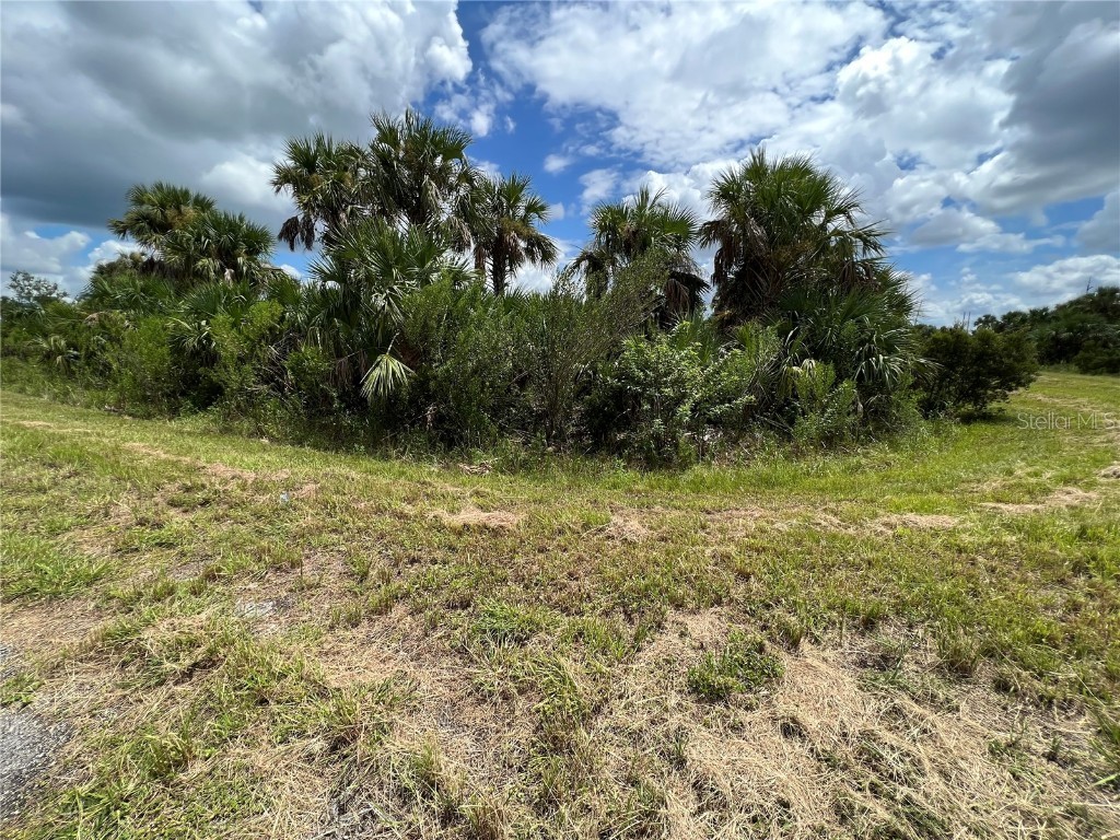 0 Deer Pl North Port FL 34288 U8173979 image15