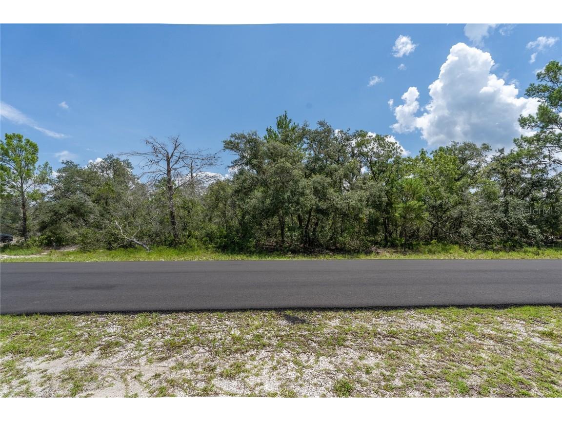 0 Deer Rd Frostproof FL 33843 - REEDY LAKE P4935528 image1