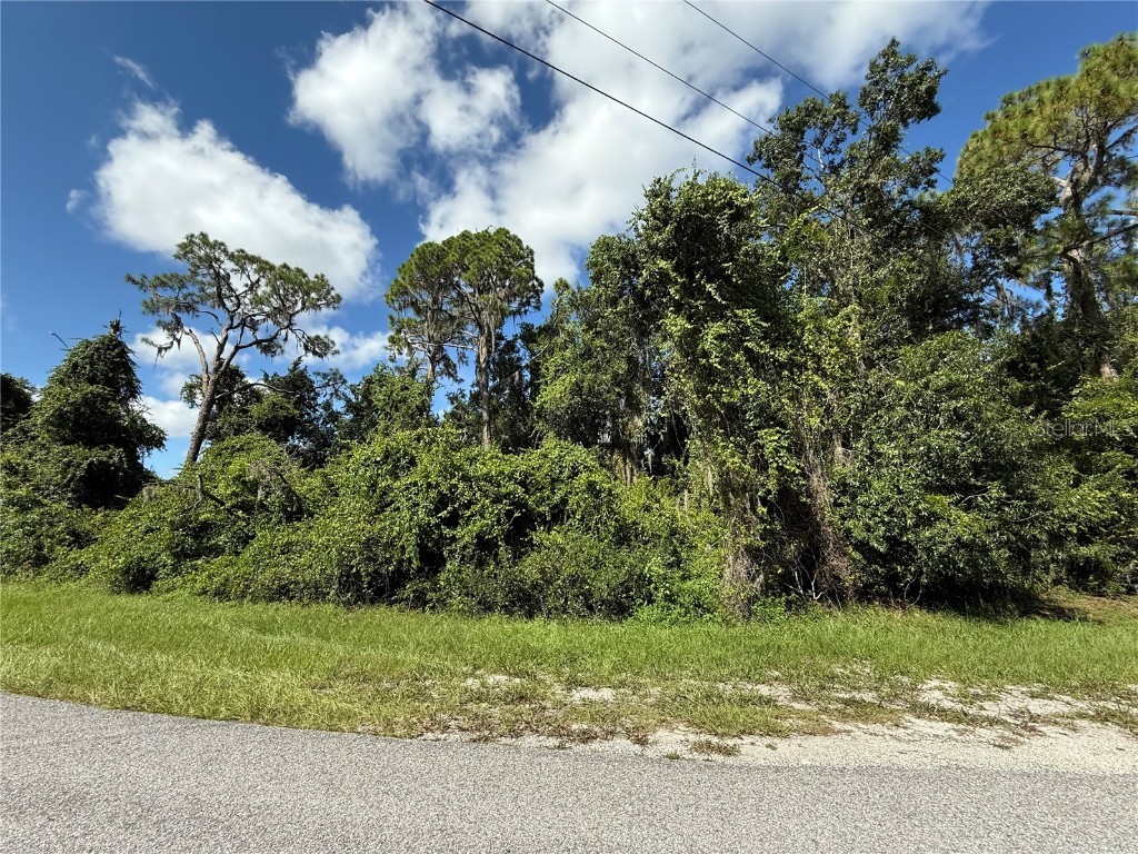 0 Deer Run Frostproof FL 33843 - REEDY CREEK K4903032 image3