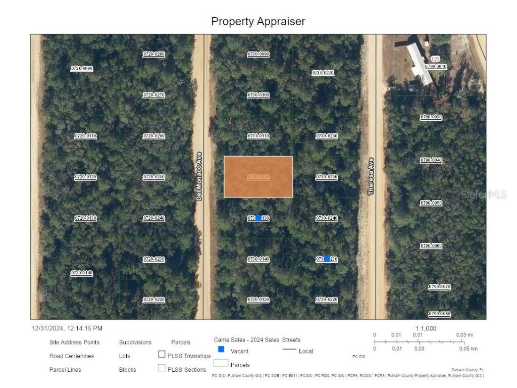 0 Del Monaco Avenue Interlachen FL 32148 A4633884 image1