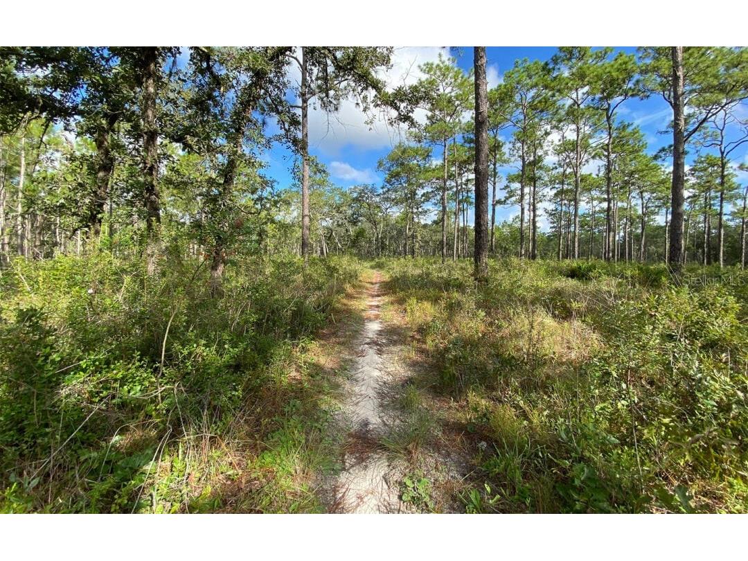 0 Dempsey Road Brooksville FL 34601 G5088447 image1