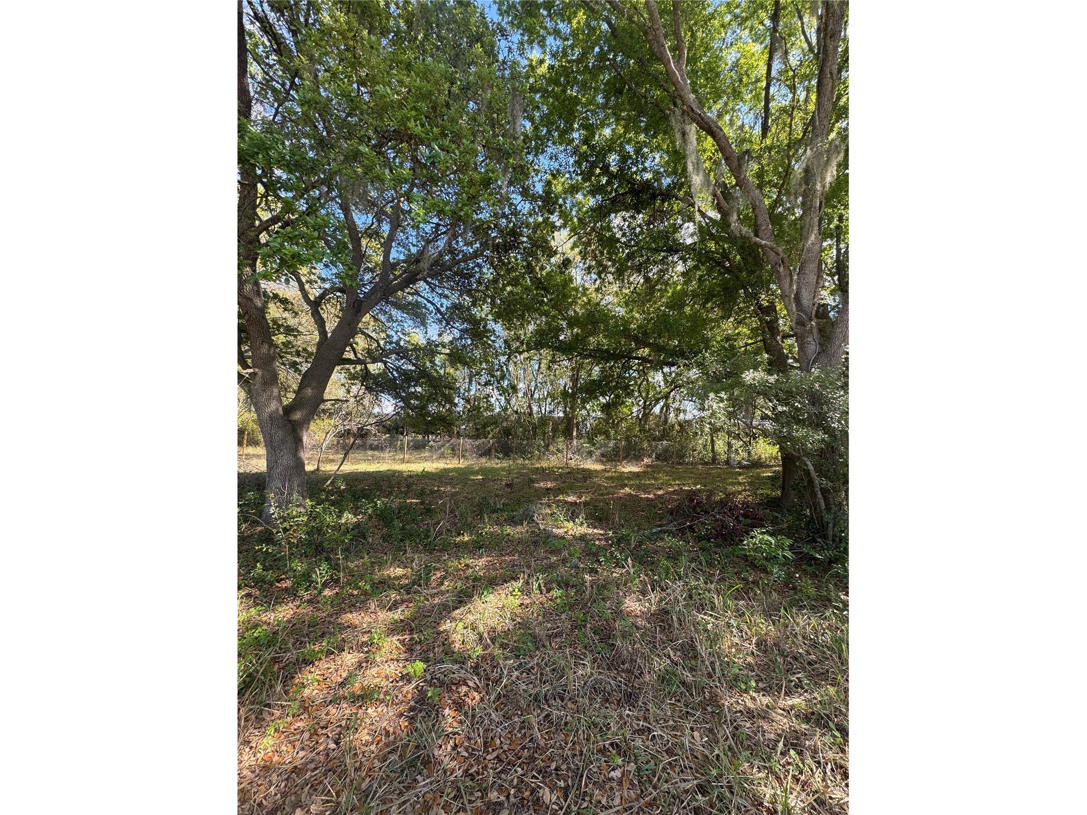0 Denmark Street Bartow FL 33830 L4960790 image3
